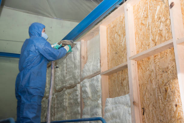 Best Fiberglass Insulation  in Worthington Hills, KY